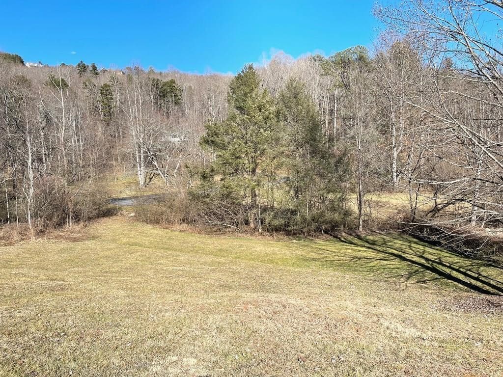 Lot 21C Ash Branch Circle, Hayesville NC 28904 - Photo