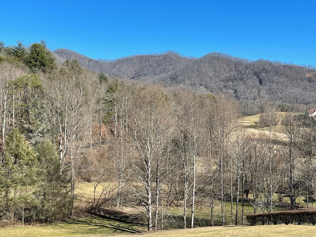 Lot 21C Ash Branch Circle, Hayesville NC 28904 - Photo