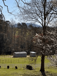 9-11 Sugar Maple Road, Murphy NC 28906 - Photo