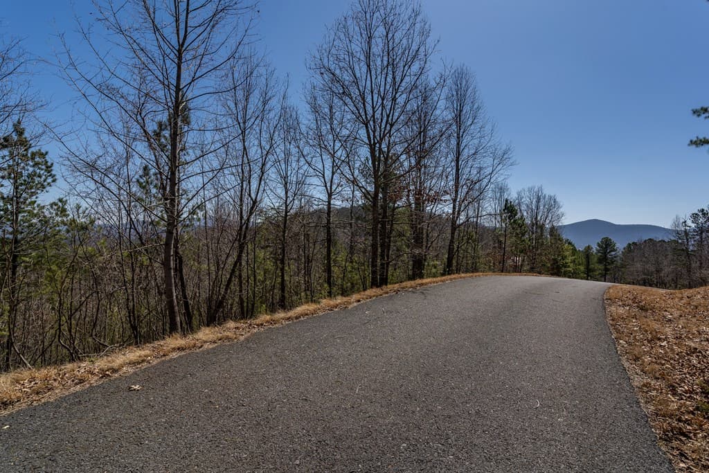 Lot 38 The Hills At Queens Gap, Blairsville GA 30512 - Photo