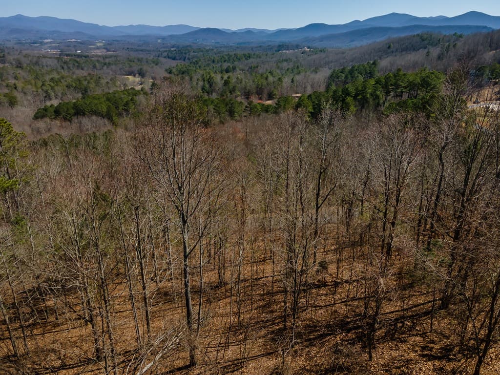 Lot 38 The Hills At Queens Gap, Blairsville GA 30512 - Photo