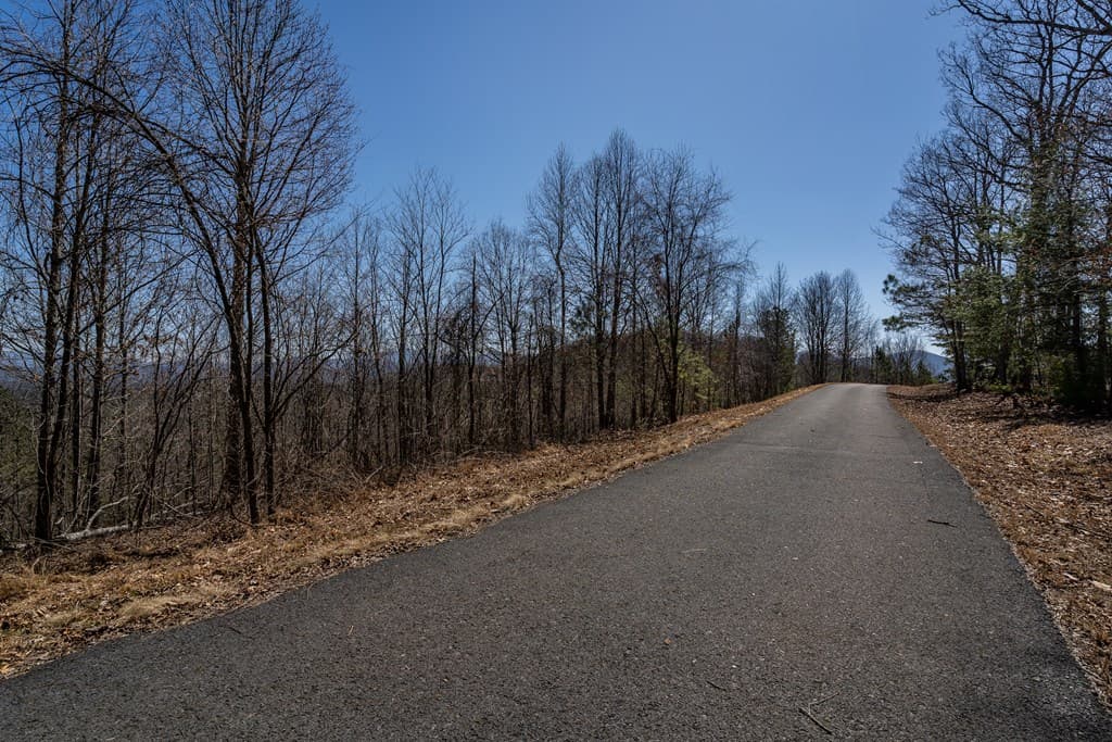 Lot 38 The Hills At Queens Gap, Blairsville GA 30512 - Photo