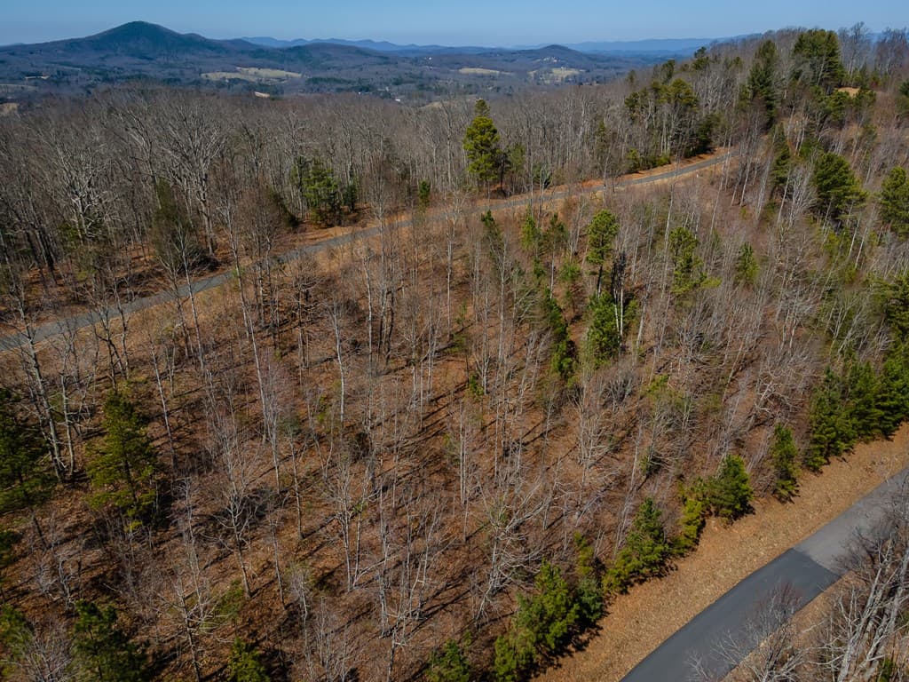 Lot 38 The Hills At Queens Gap, Blairsville GA 30512 - Photo
