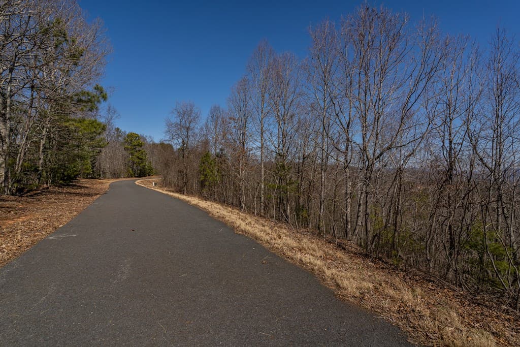 Lot 38 The Hills At Queens Gap, Blairsville GA 30512 - Photo