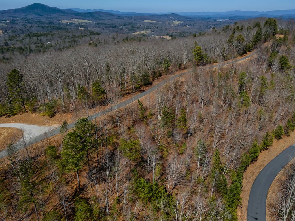 Lot 39 The Hills At Queens Gap, Blairsville GA 30512 - Photo