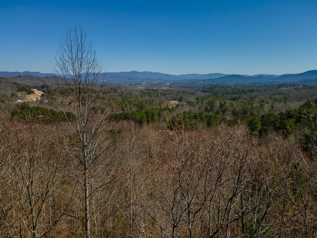 Lot 39 The Hills At Queens Gap, Blairsville GA 30512 - Primary photo