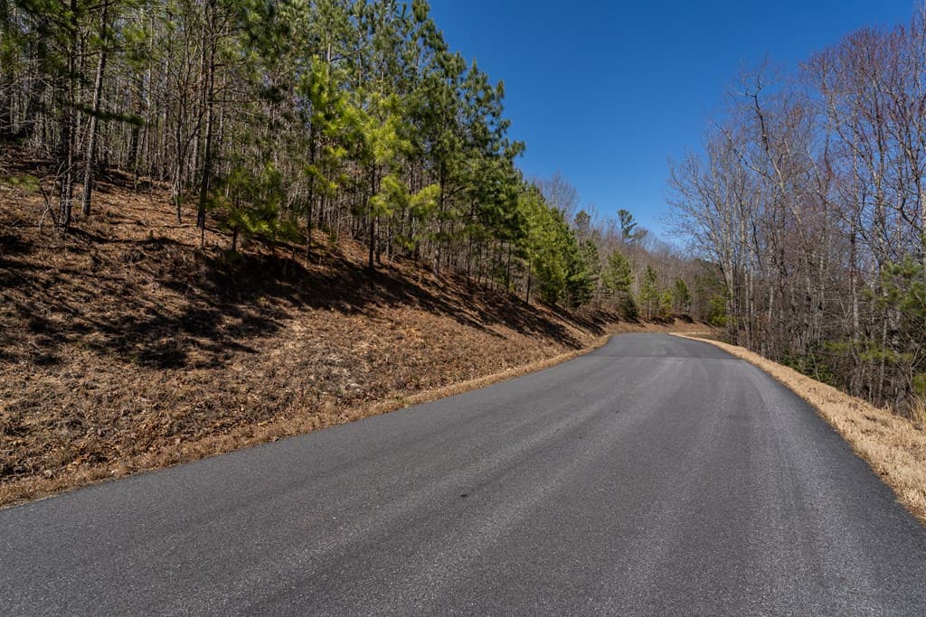 Lot 39 The Hills At Queens Gap, Blairsville GA 30512 - Photo