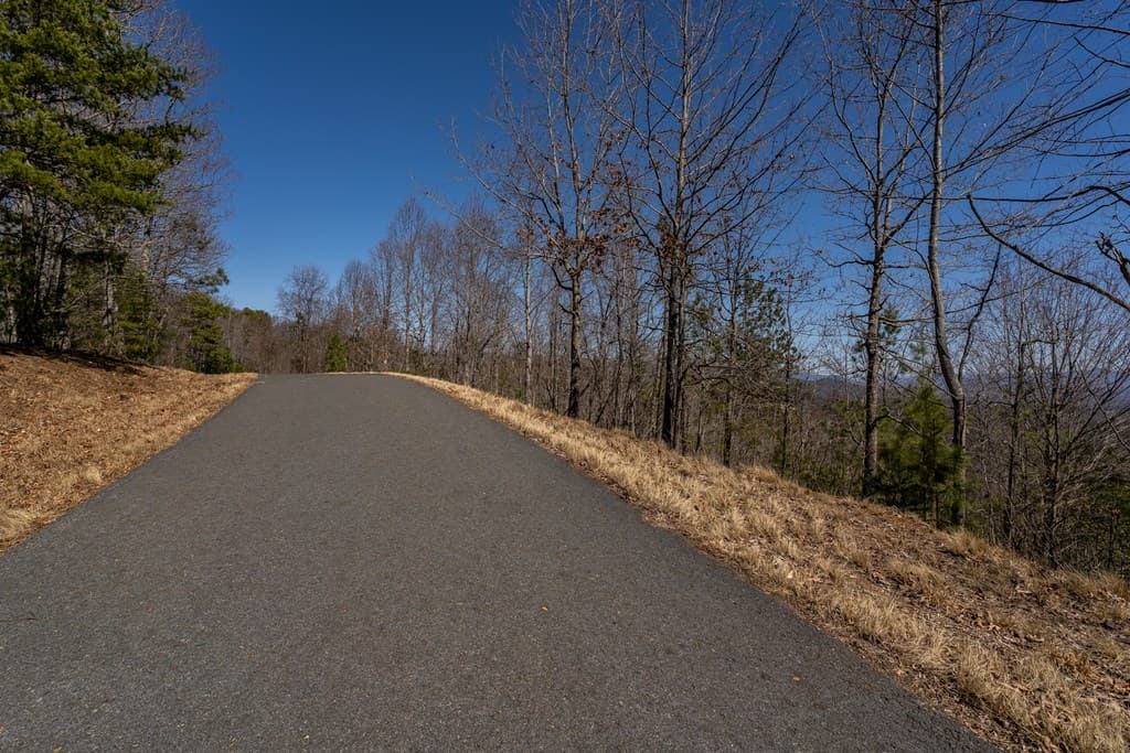 Lot 39 The Hills At Queens Gap, Blairsville GA 30512 - Photo