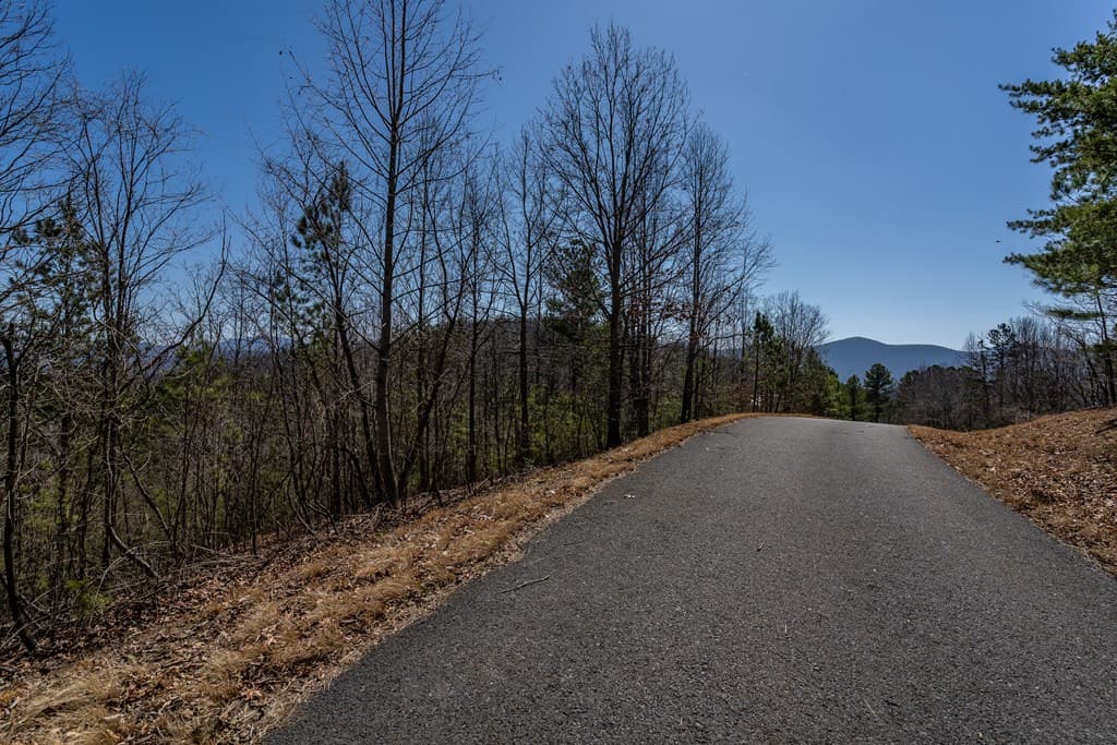 Lot 39 The Hills At Queens Gap, Blairsville GA 30512 - Photo