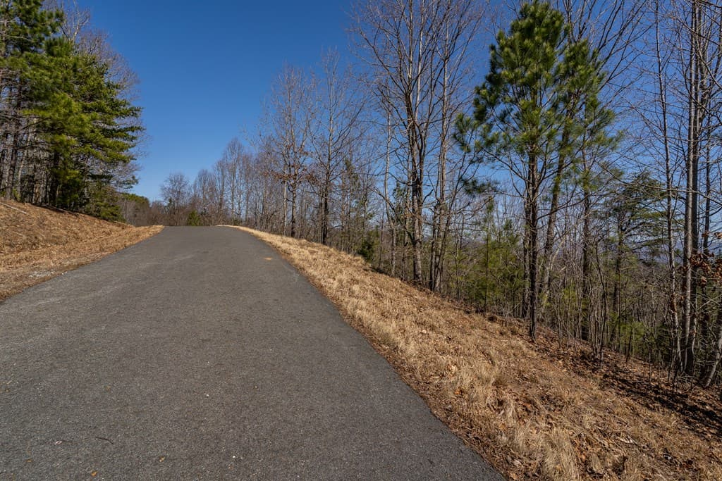 Lot 39 The Hills At Queens Gap, Blairsville GA 30512 - Photo