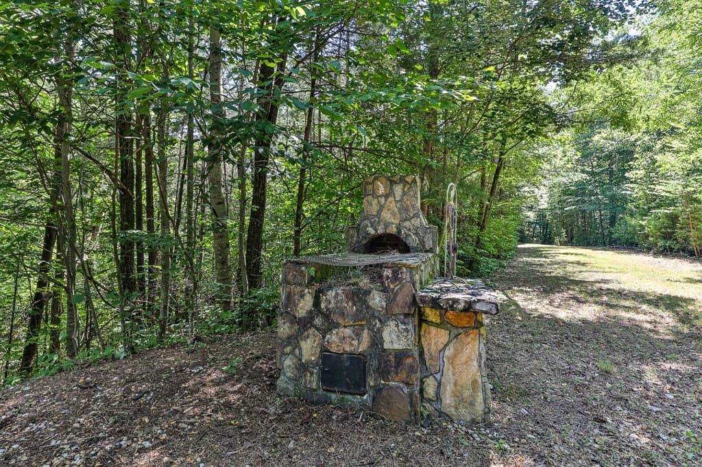 51+ acre Mountain Cove Way, Cherry Log GA 30522 - Photo