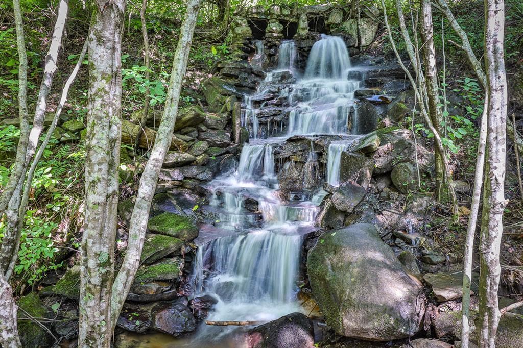 51+ acre Mountain Cove Way, Cherry Log GA 30522 - Photo