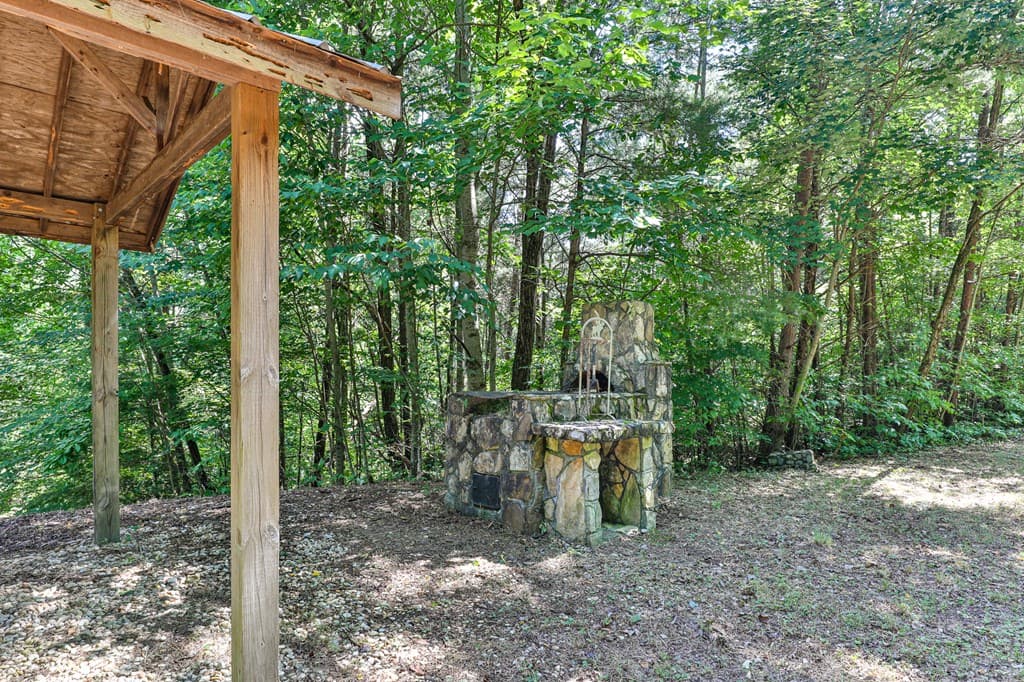 51+ acre Mountain Cove Way, Cherry Log GA 30522 - Photo
