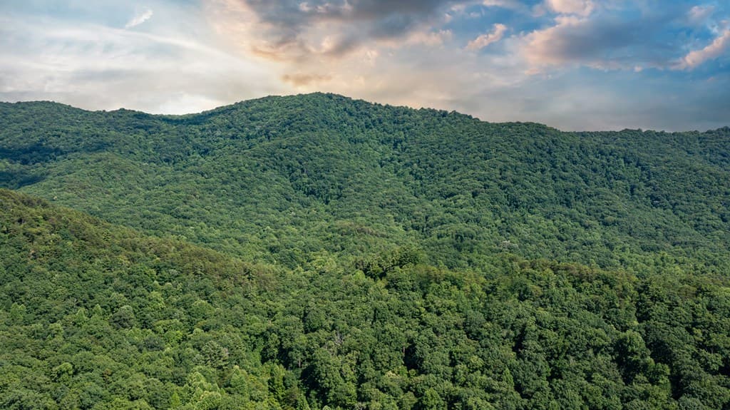 51+ acre Mountain Cove Way, Cherry Log GA 30522 - Photo