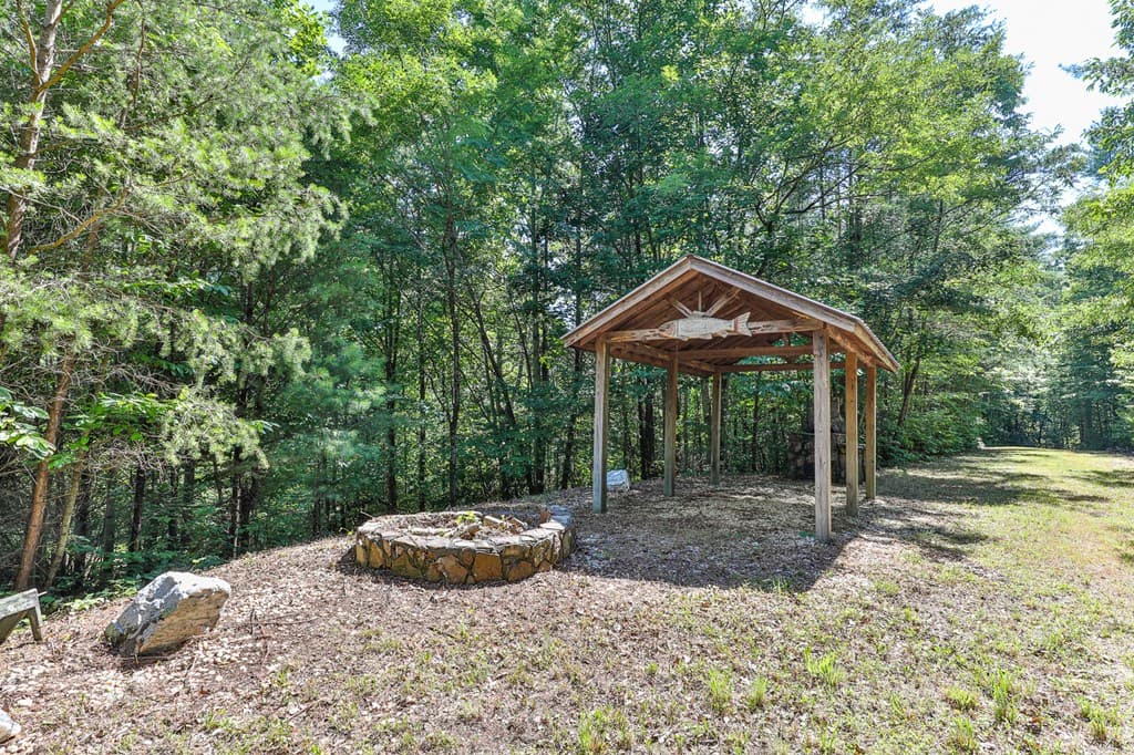 51+ acre Mountain Cove Way, Cherry Log GA 30522 - Photo