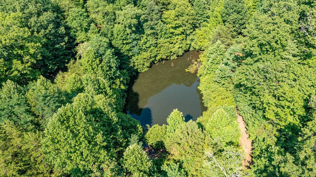 51+ acre Mountain Cove Way, Cherry Log GA 30522 - Photo