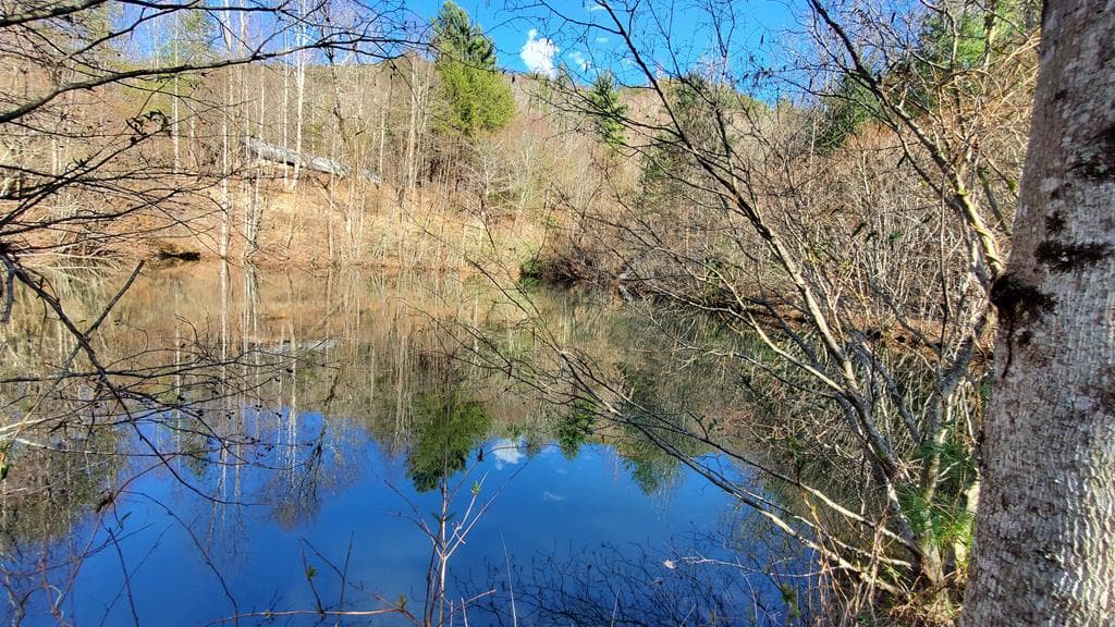 51+ acre Mountain Cove Way, Cherry Log GA 30522 - Photo