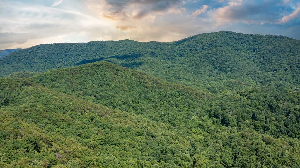 51+ acre Mountain Cove Way, Cherry Log GA 30522 - Photo