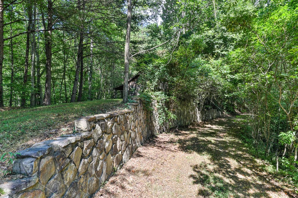 51+ acre Mountain Cove Way, Cherry Log GA 30522 - Photo