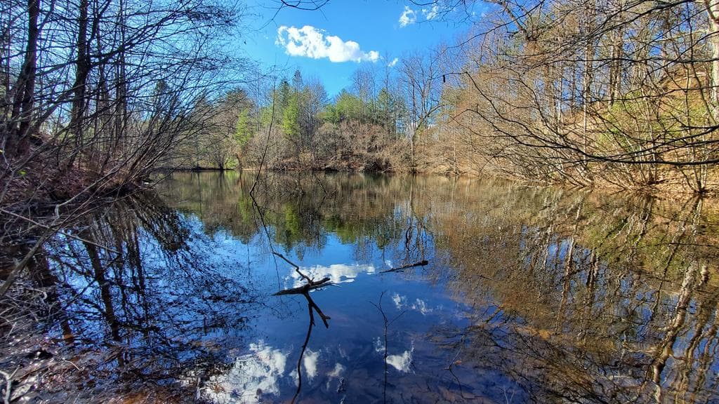 51+ acre Mountain Cove Way, Cherry Log GA 30522 - Primary photo