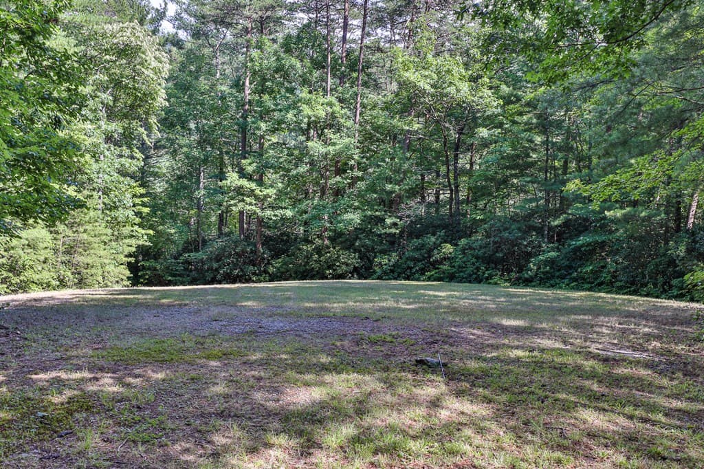 51+ acre Mountain Cove Way, Cherry Log GA 30522 - Photo
