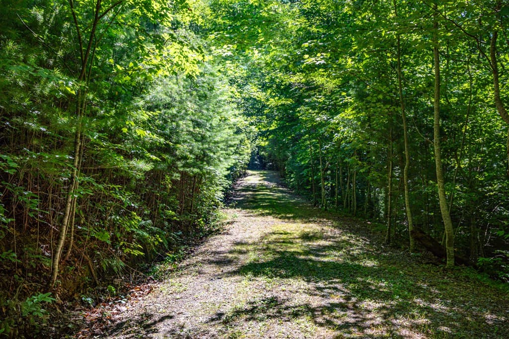 51+ acre Mountain Cove Way, Cherry Log GA 30522 - Photo