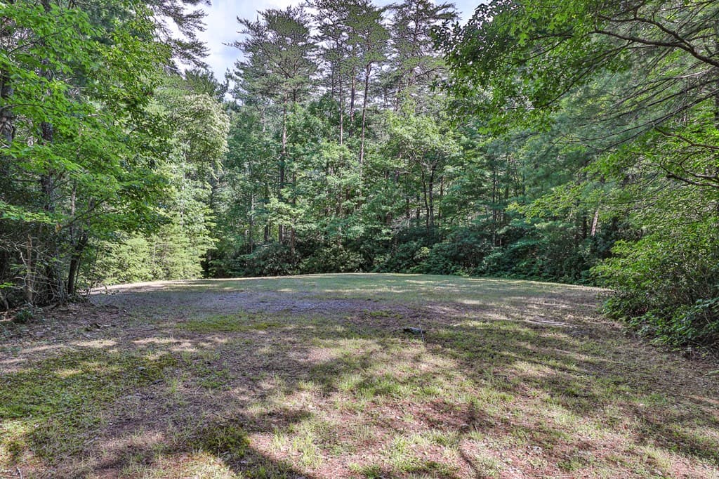 51+ acre Mountain Cove Way, Cherry Log GA 30522 - Photo