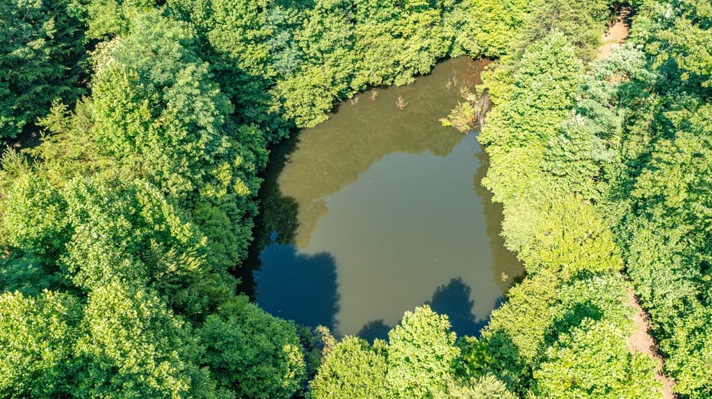 51+ acre Mountain Cove Way, Cherry Log GA 30522 - Photo