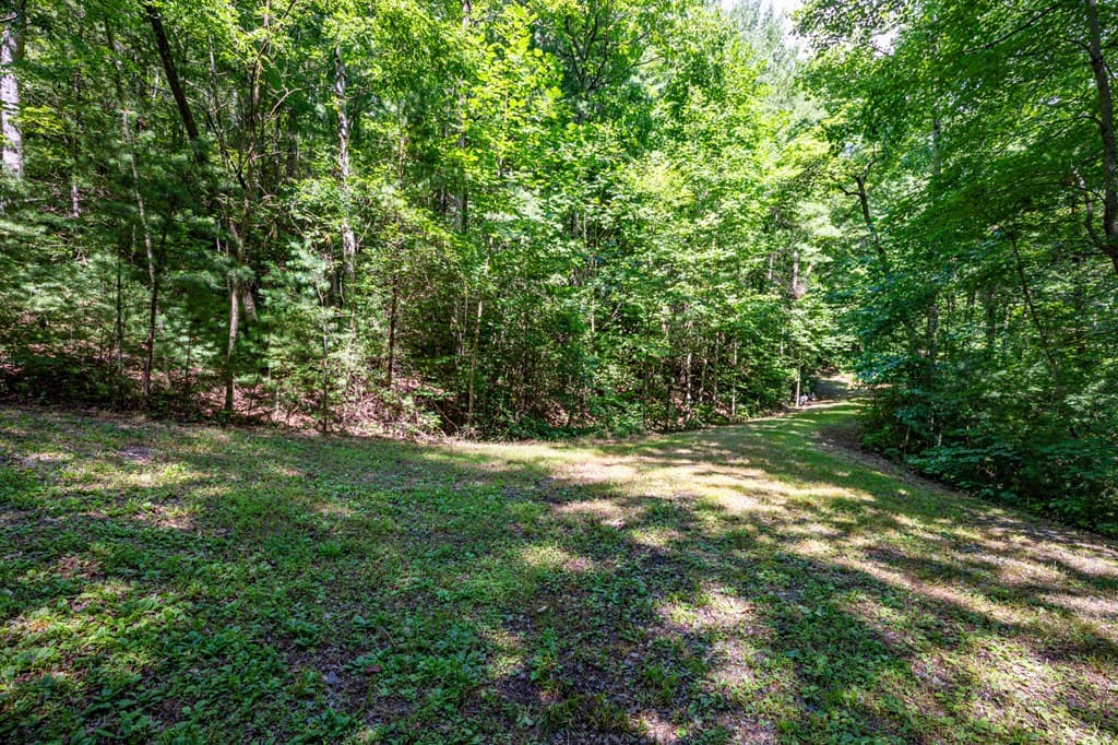 51+ acre Mountain Cove Way, Cherry Log GA 30522 - Photo