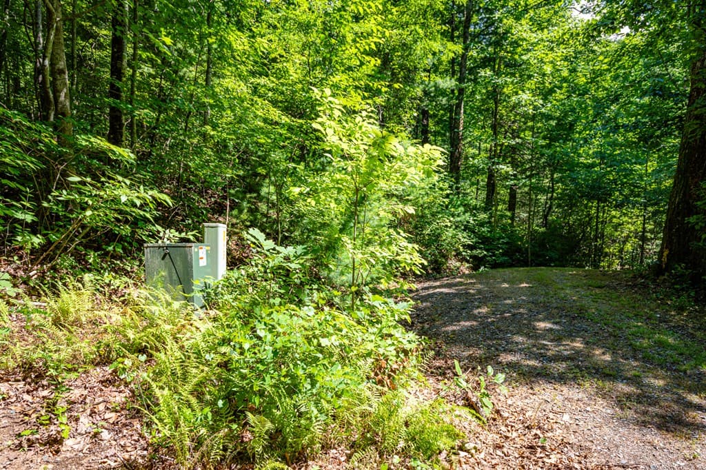 51+ acre Mountain Cove Way, Cherry Log GA 30522 - Photo
