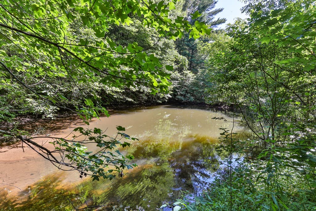 51+ acre Mountain Cove Way, Cherry Log GA 30522 - Photo