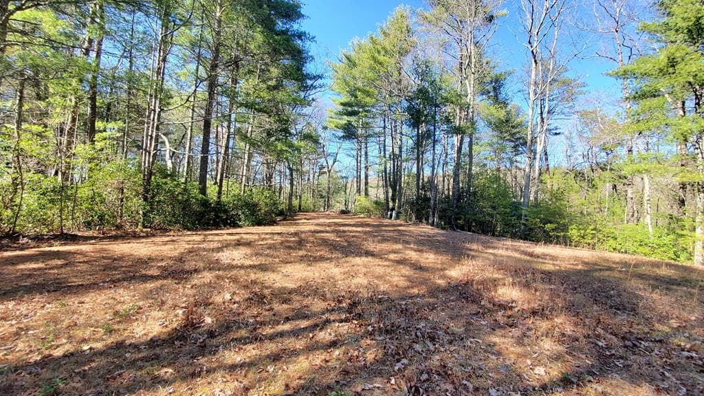 51+ acre Mountain Cove Way, Cherry Log GA 30522 - Photo