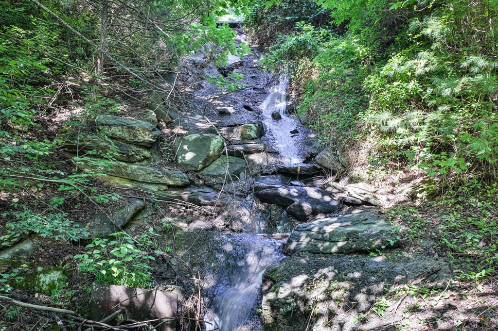 51+ acre Mountain Cove Way, Cherry Log GA 30522 - Photo