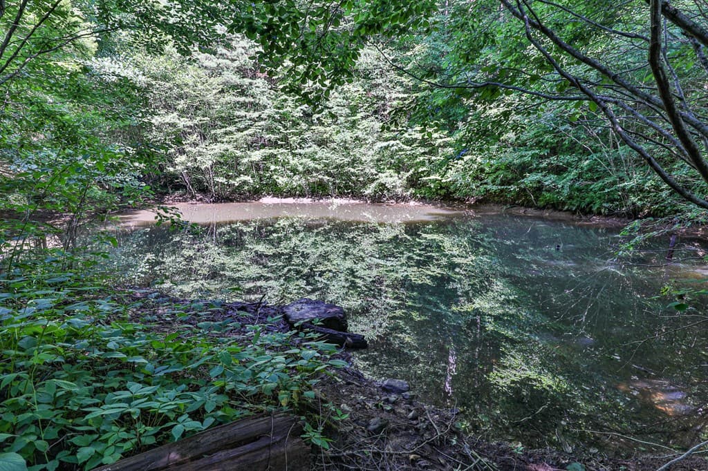 51+ acre Mountain Cove Way, Cherry Log GA 30522 - Photo