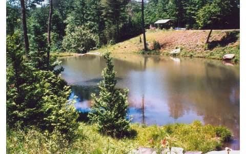 51+ acre Mountain Cove Way, Cherry Log GA 30522 - Photo