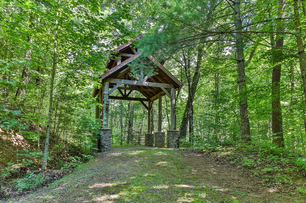 51+ acre Mountain Cove Way, Cherry Log GA 30522 - Photo