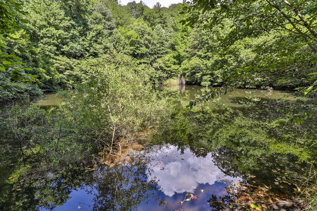 51+ acre Mountain Cove Way, Cherry Log GA 30522 - Photo