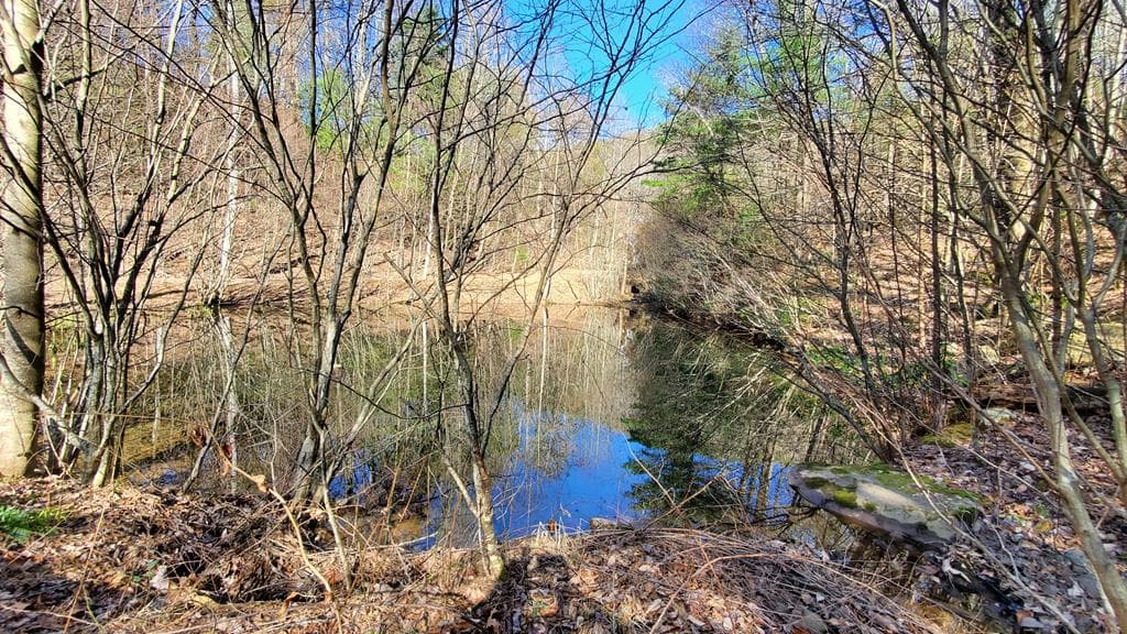 51+ acre Mountain Cove Way, Cherry Log GA 30522 - Photo