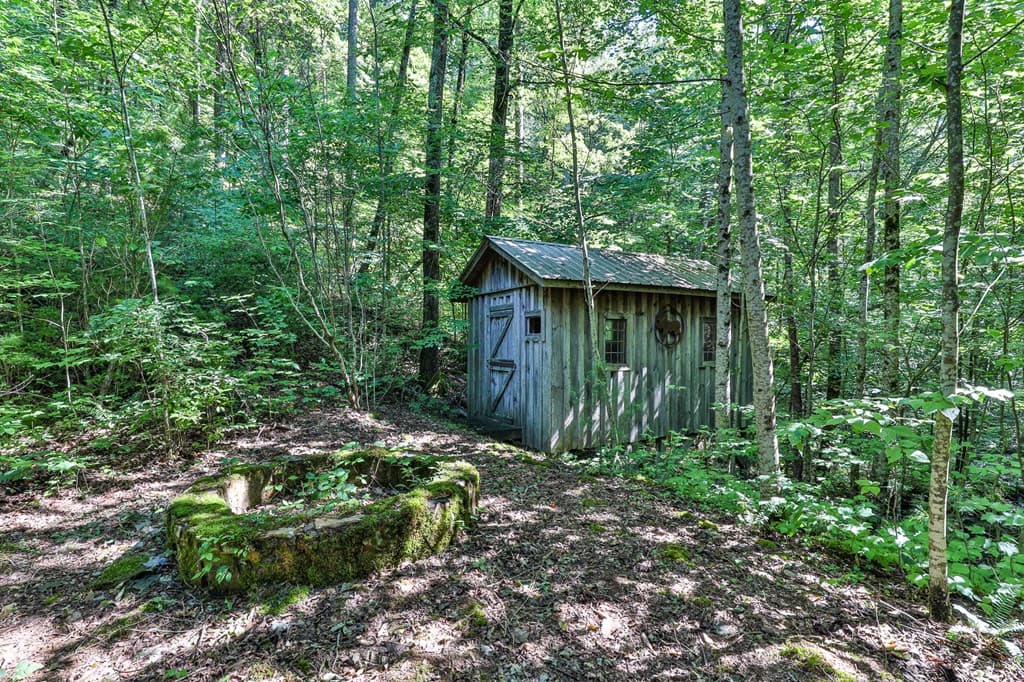 51+ acre Mountain Cove Way, Cherry Log GA 30522 - Photo