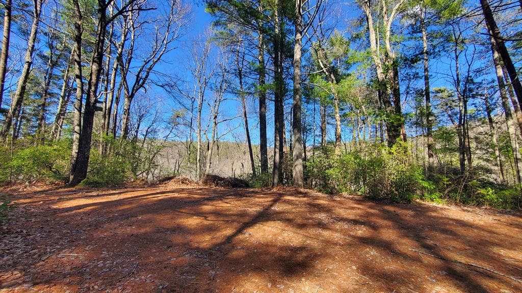 51+ acre Mountain Cove Way, Cherry Log GA 30522 - Photo