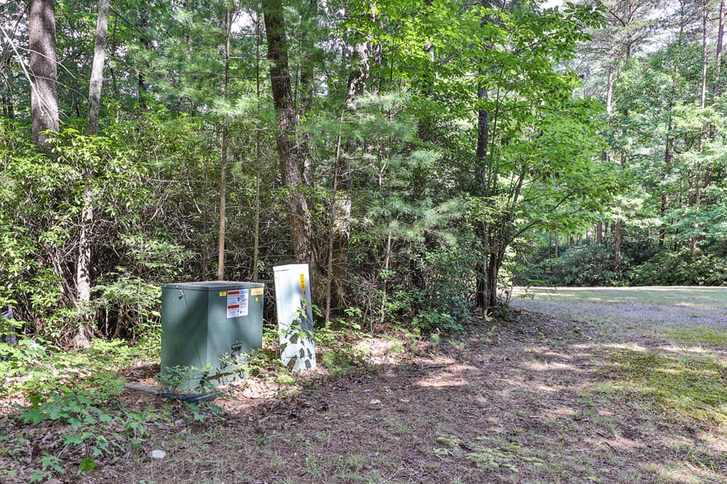 51+ acre Mountain Cove Way, Cherry Log GA 30522 - Photo