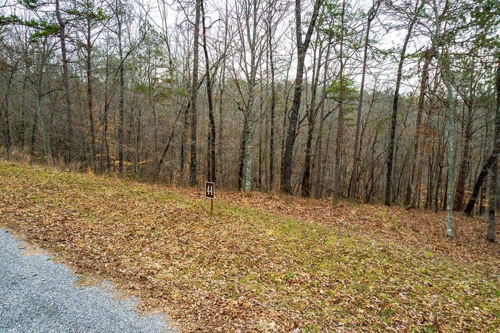 Lot 44 Bucktail Way, Talking Rock GA 30175 - Photo