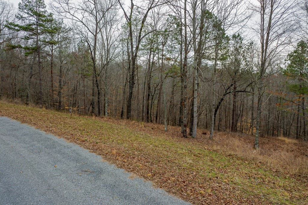 Lot 44 Bucktail Way, Talking Rock GA 30175 - Photo