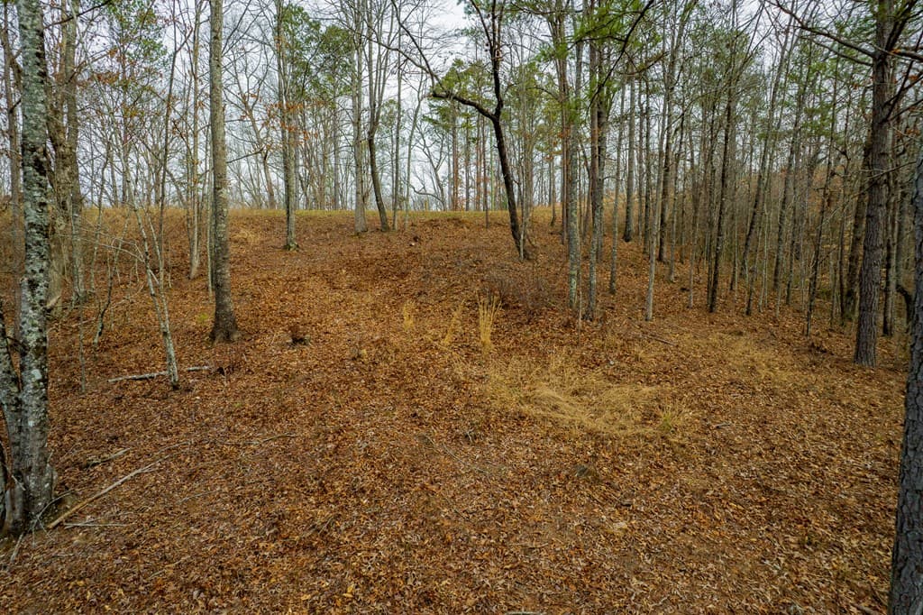 Lot 44 Bucktail Way, Talking Rock GA 30175 - Photo