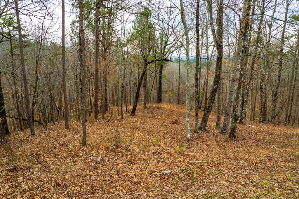 Lot 44 Bucktail Way, Talking Rock GA 30175 - Photo