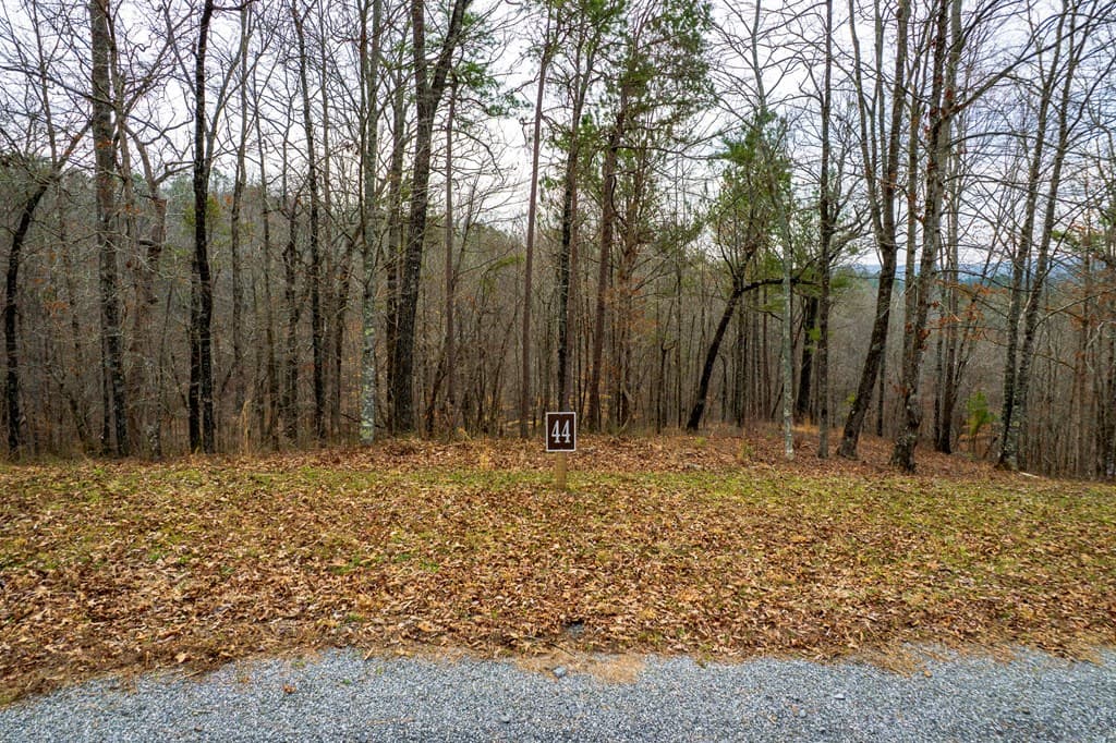Lot 44 Bucktail Way, Talking Rock GA 30175 - Photo