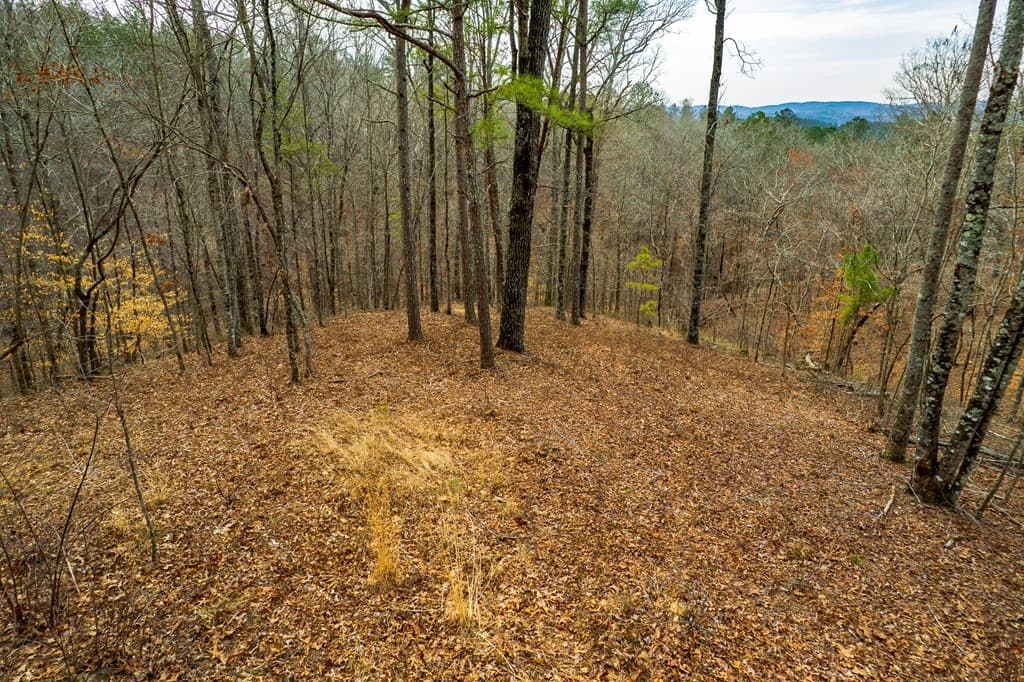 Lot 44 Bucktail Way, Talking Rock GA 30175 - Photo