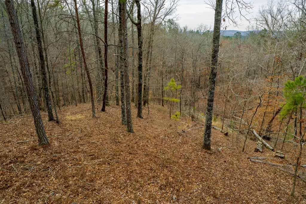 Lot 44 Bucktail Way, Talking Rock GA 30175 - Photo