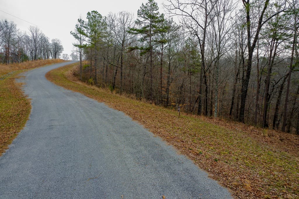 Lot 44 Bucktail Way, Talking Rock GA 30175 - Photo