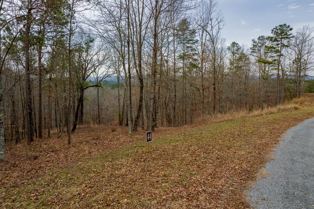 Lot 44 Bucktail Way, Talking Rock GA 30175 - Photo